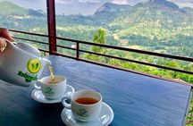 Enchanting Ella a Journey Through Sri Lanka’s Hill Country