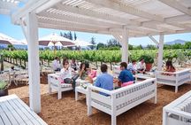 Valparaiso & Casablanca Wine Tour and Tasting From Santiago