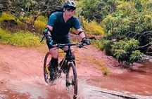 No.1 Chiang Mai: Epic Doi Suthep Downhill MTB Adventure