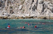 Cabo Wonders: Snorkeling at the Arch in Cabo