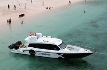 One Day Komodo Tour & Snorkeling by Speedboat