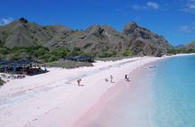 One Day Komodo Tour & Snorkeling by Speedboat