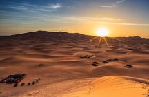 Abu Dhabi Sunrise Desert Safari & Authentic Bedouin Coffee