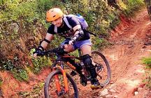 No.1 Chiang Mai: Epic Doi Suthep Downhill MTB Adventure