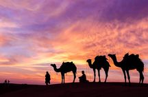 Abu Dhabi Sunrise Desert Safari & Authentic Bedouin Coffee