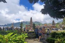Private Guided Bali Car Charter