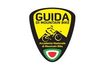 4-hour E-bike Tour of the Piccolo Mondo Antico in Lake Como
