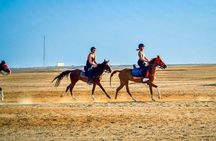 2-Hour Beach & Desert Horse Riding Experience in Hurghada