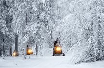 Northern Lights Night by Snowmobile (private tour)