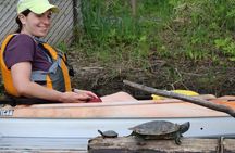 Ottawa Ecological Reserve Kayak Tour with TURTLE Sightings