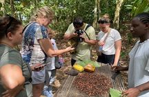 Day Trip Near Accra - Visit Aburi Gardens, Waterfall & Cocoa Farm