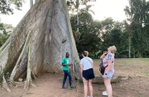 Day Trip Near Accra - Visit Aburi Gardens, Waterfall & Cocoa Farm