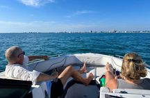 2 Hour Private Dolphin Eco Bout Tour St Pete Beach Florida