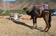 Private Full Day Tour from Marrakech to Ourika