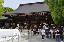 Tokyo Unlocked: Private Full-Day Tour