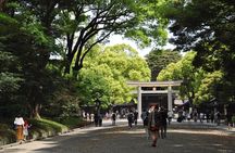 Tokyo Unlocked: Private Full-Day Tour