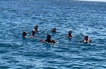 Private 3.5 hr Snorkel Charter in Waikiki