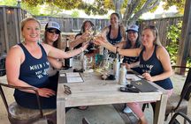 Carmel Valley Wine Tour in a Vintage VW Bus