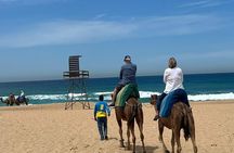 Exlusive Private Tangier Full Day tour with Official Guide