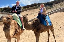 Exlusive Private Tangier Full Day tour with Official Guide