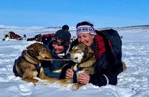 Private Dogsledding tour with a Night at our little Husky lodge