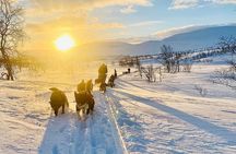 Private Dogsledding tour with a Night at our little Husky lodge