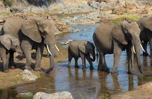 6 Days Private Tanzania Midrange Safari Adventure
