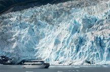 Captain's Choice Kenai Fjords National Park Tour from Seward