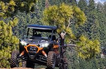 2 Hour High Cascades Scenic ATV Tour in Bend Oregon