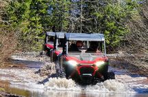 2 Hour High Cascades Scenic ATV Tour in Bend Oregon