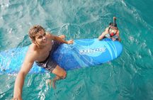 Waikiki Turtle Snorkeling Tour