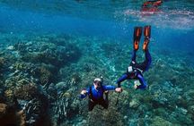 Snorkeling Water Private Activity In Montego Bay Jamaica
