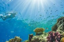 Snorkeling Water Private Activity In Montego Bay Jamaica