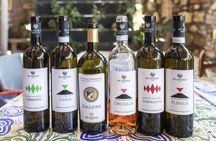 Tasting in the vineyard