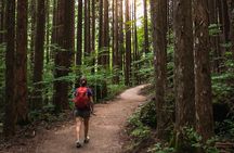 Magome to Tsumago Hiking Tour from Nagoya