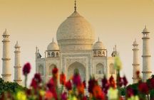 All Inclusive Private Day Tour to Taj Mahal from Delhi by Car 