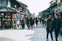 Inuyama Samurai Experience Day Tour