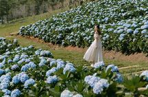 Full-Day Highlight of Da Lat –The famous tourist attractions 2025