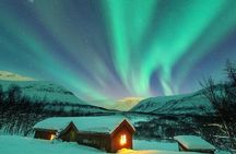 Private Dogsledding tour with a Night at our little Husky lodge