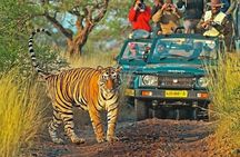 7 Days Private Golden Triangle and Ranthambore Tour