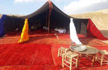 Quad bike & camel ride & lunch in Agafay desert 