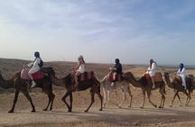 Quad bike & camel ride & lunch in Agafay desert 