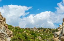 Private Day Trip to Shakhrisabz from Samarkand