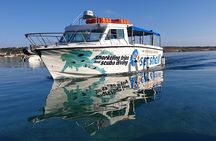 Comino Guided Snorkeling Experience