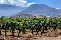 From Villa de Leyva Vineyard Tour