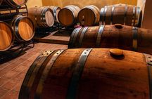 From Villa de Leyva Vineyard Tour