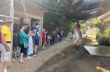 Private Tour of Mazatlán Towns La Noria and Quelite