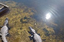 Everglades Eco Airboat Tour with Private Luxury Transportation