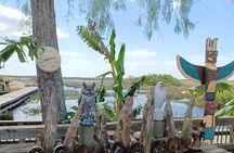 Everglades Eco Airboat Tour with Private Luxury Transportation