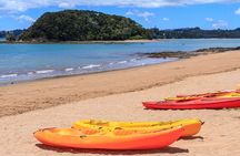 Bay of Islands Scenic Tour 